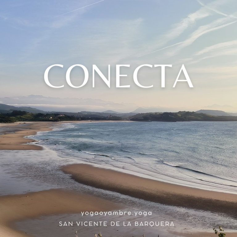 retiro yoga surf conecta