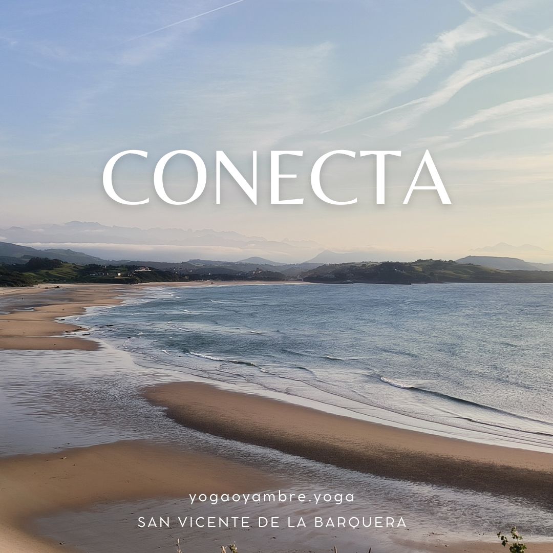 CONECTA 3 retiro yoga surf conecta